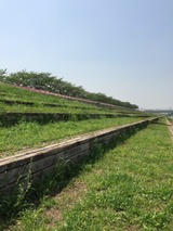 c6d4079d.jpg