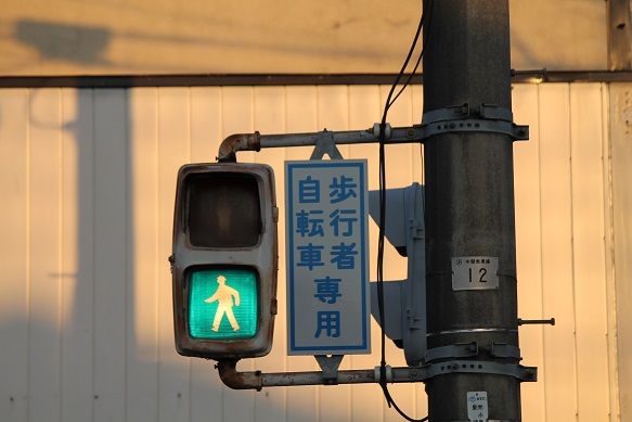 19 03 28 古い歩行者用灯器 南小泉 719系の小部屋