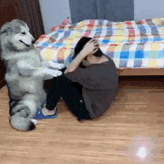 ぐうかわ