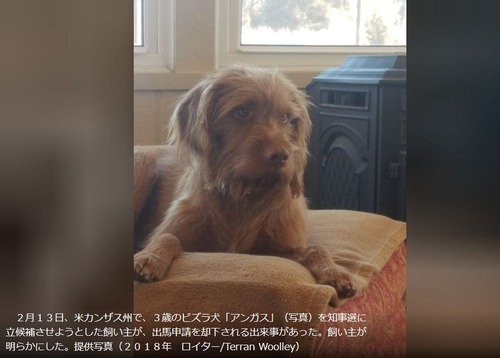 カンザス州知事選に犬が出馬申請