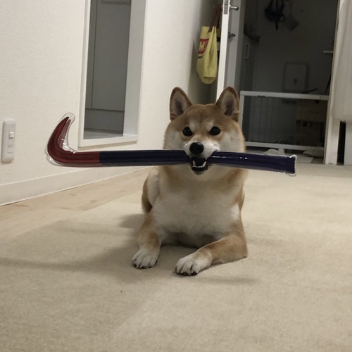 no title