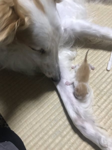 no title