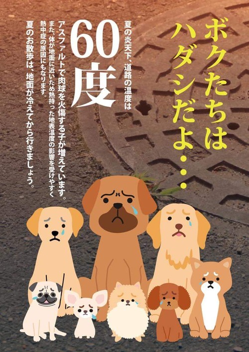 真夏の日中に犬の散歩をしている飼い主2