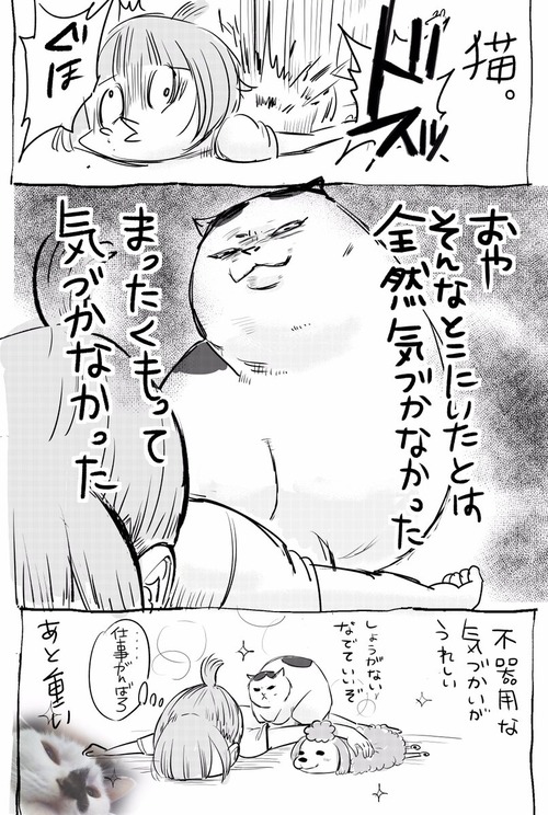 辛い時に励ましてくれる犬と猫の話2