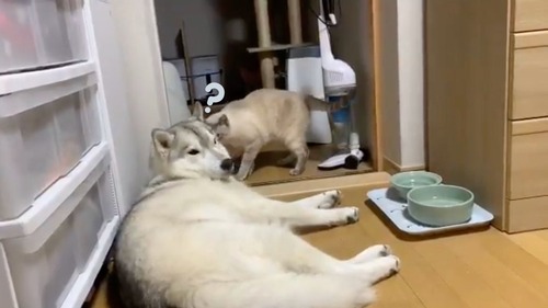 no title