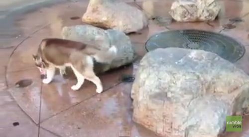 なぜそこに座ったw4