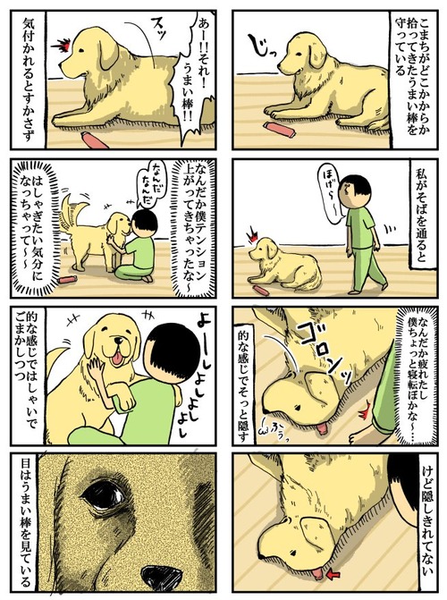 大型犬には5歳児くらいの知能があるらしい