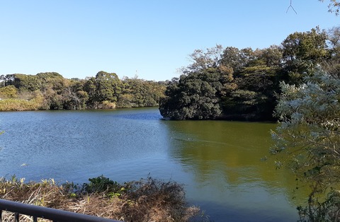 20201203_131053