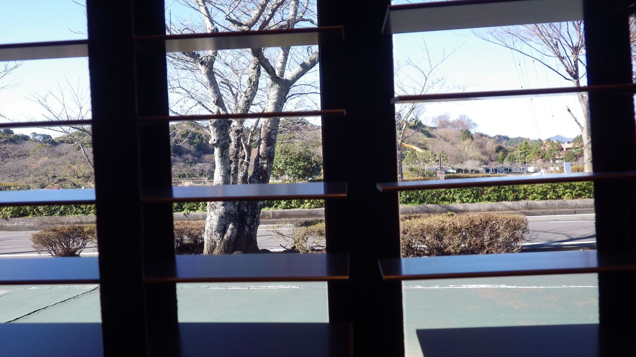 イメージ 4