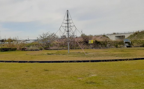 20200415_113319