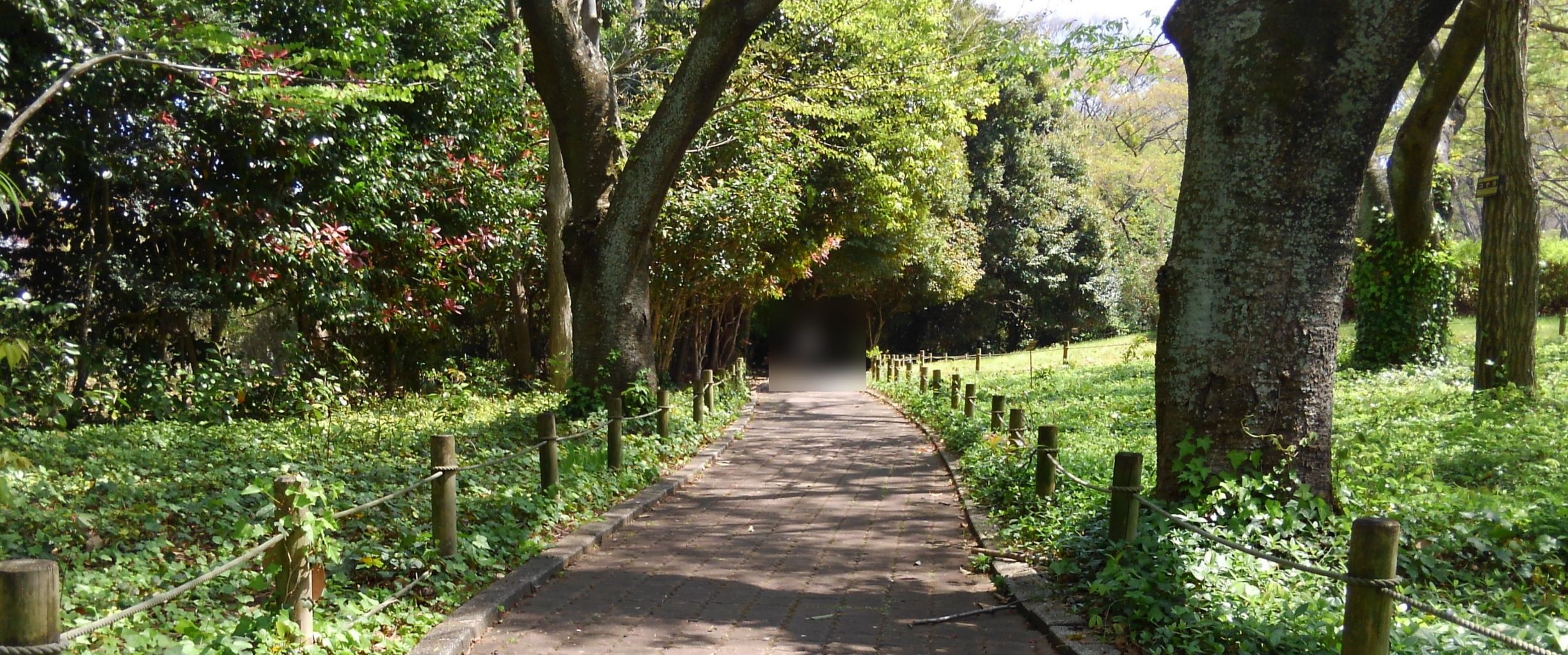 静岡県民にはお馴染み お弁当のどんどん ｃｍロケ地に行ってきました 1 150の焼津