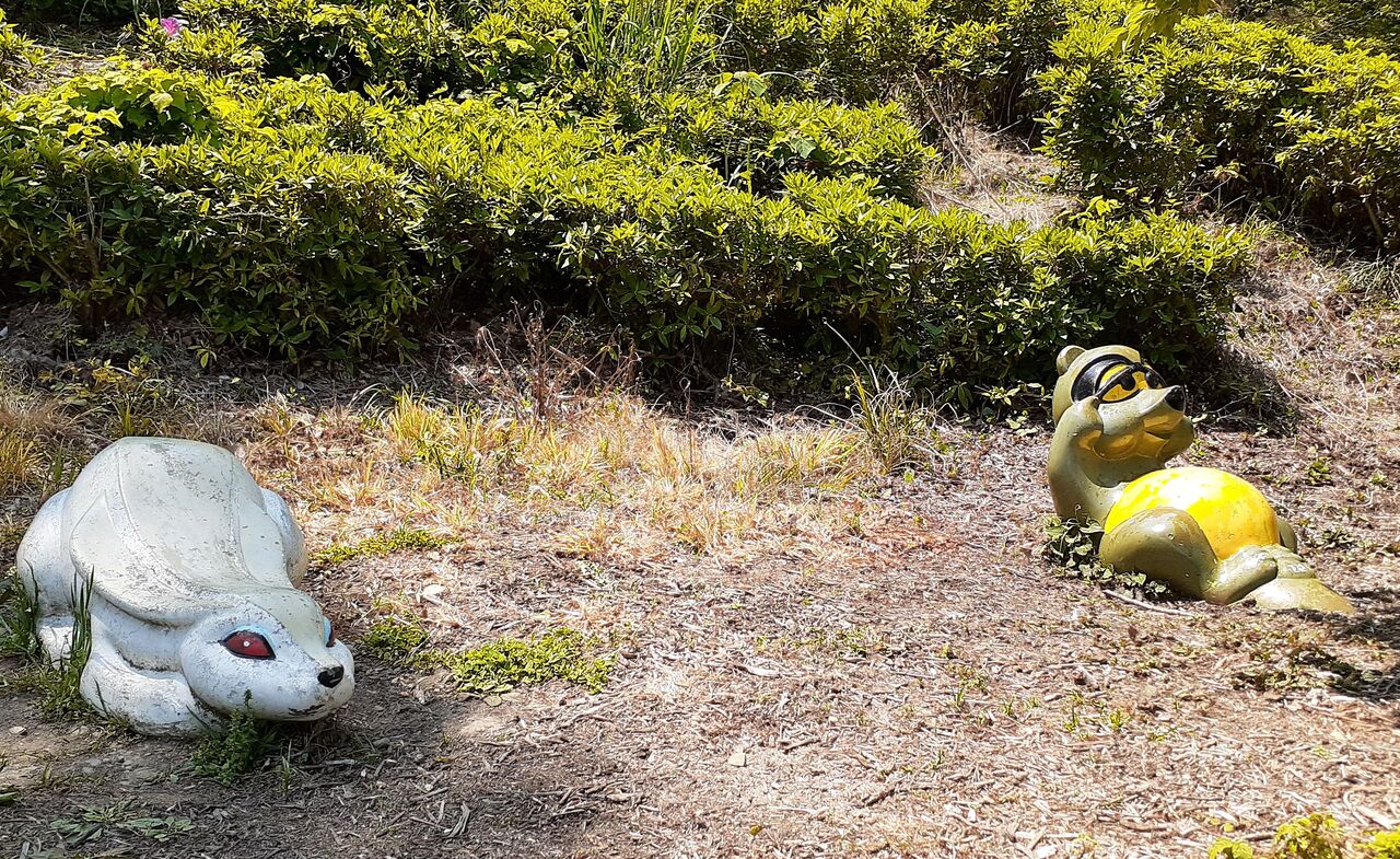 魅力的な遊具のある公園に行ってきました その20 牧之原市の山にある公園に行ってきました 1 150の焼津 魅力的な遊具のある公園に行ってきました その20 牧之原市の山にある公園に行ってきました 1 150の焼津