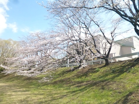 P1310789