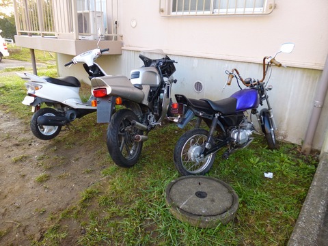 P1000548
