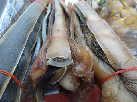P1050249