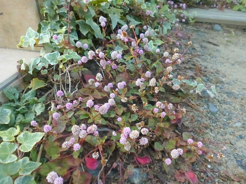 P1290468