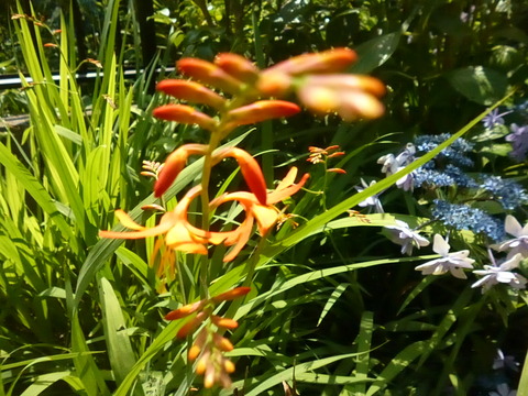 P1300989