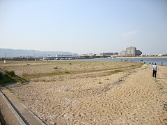 DSC01353 - コピー