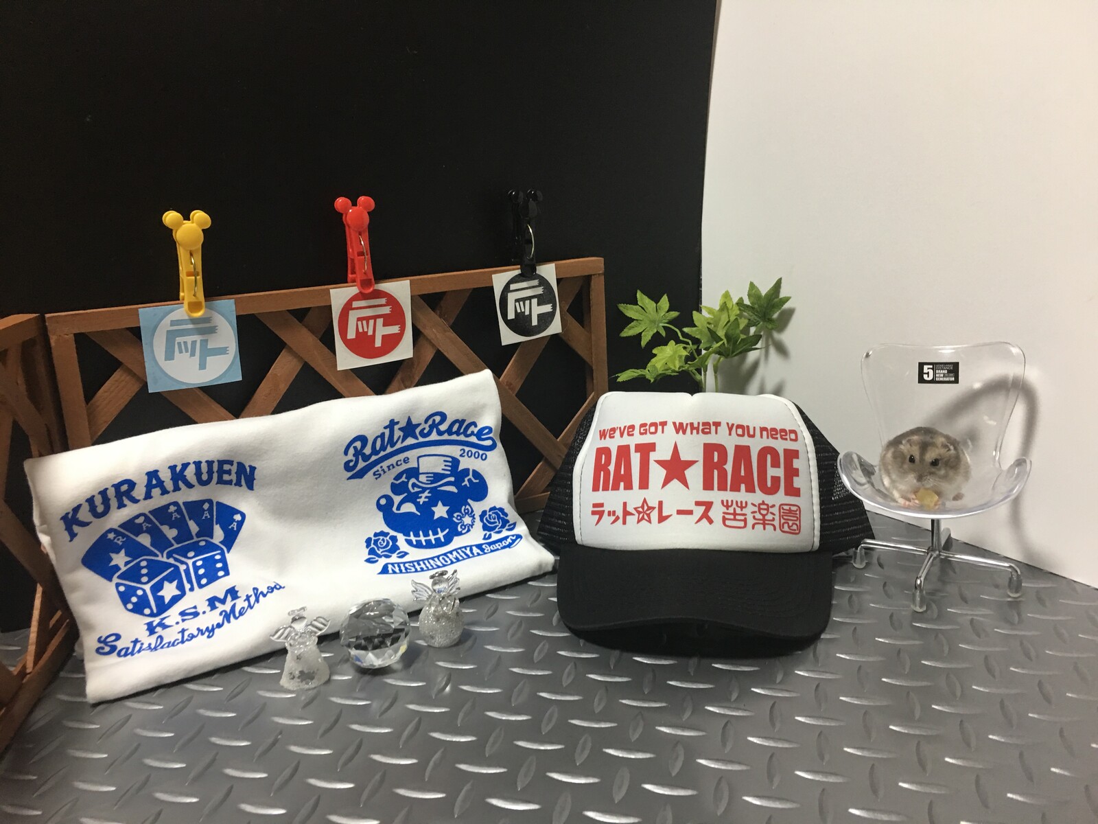 菊谷町の ラットレース！ : やじきたの食べたい放題！