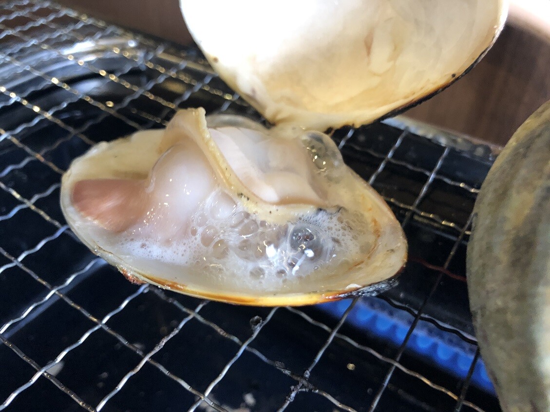 宝塚 小林の 活貝センター やじきたの食べたい放題 宝塚 小林の 活貝センター やじきたの食べたい放題