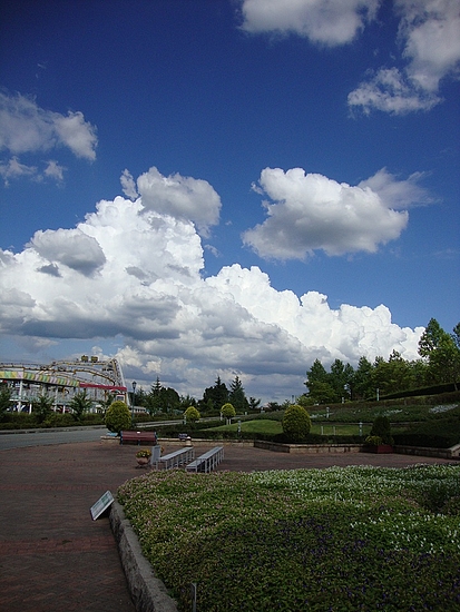 DSC05220 - コピー DSC05220 - コピー