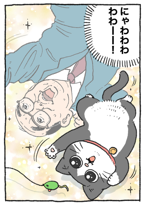 Nekooji_syoseki_blog_027
