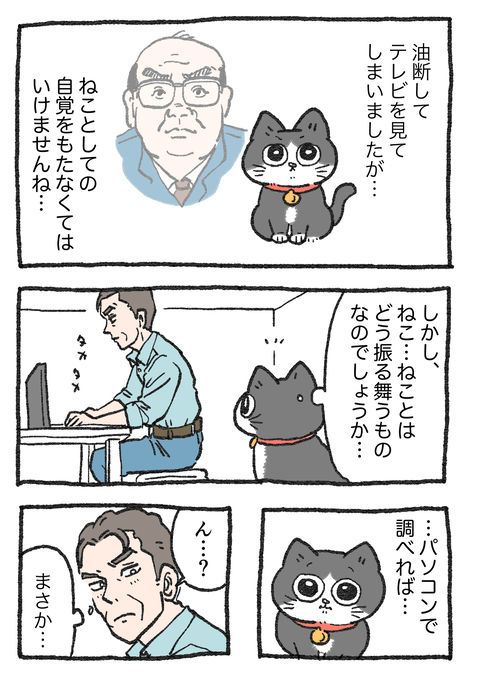 Nekooji_syoseki_blog_042