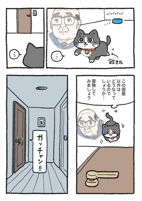 Nekooji_0401_ong_001