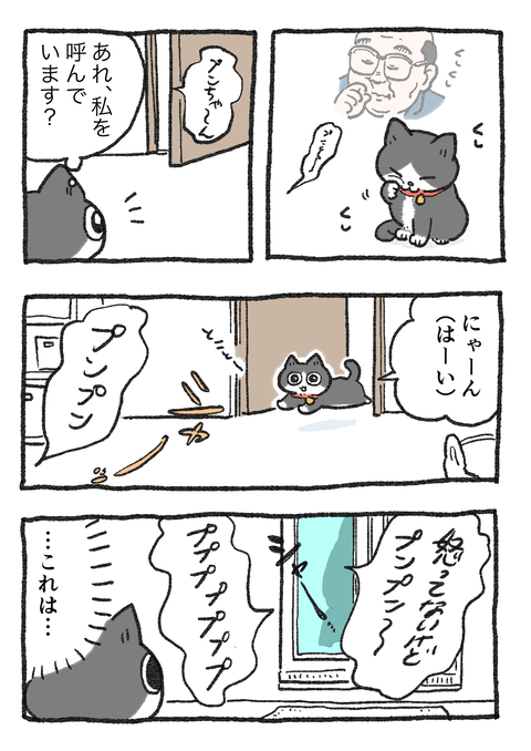 Nekooji_syoseki_blog_046