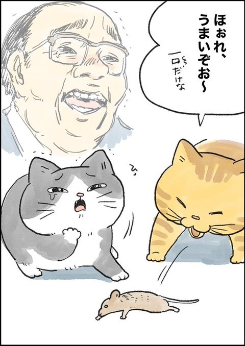 nekooji_6_2