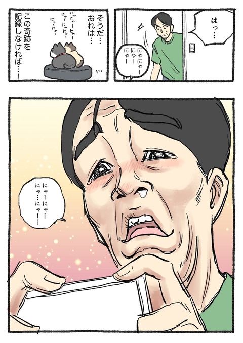 GSsj7LJacAMmmMy
