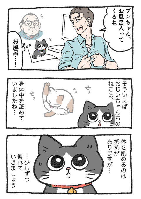 Nekooji_syoseki_blog_044