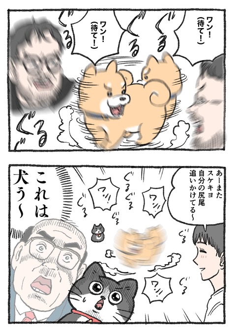 nekooji_182_2