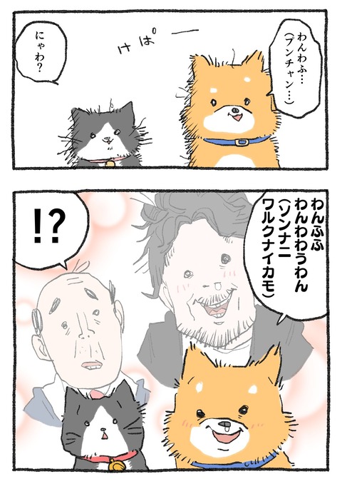 GFf4TXKbUAAgGnX