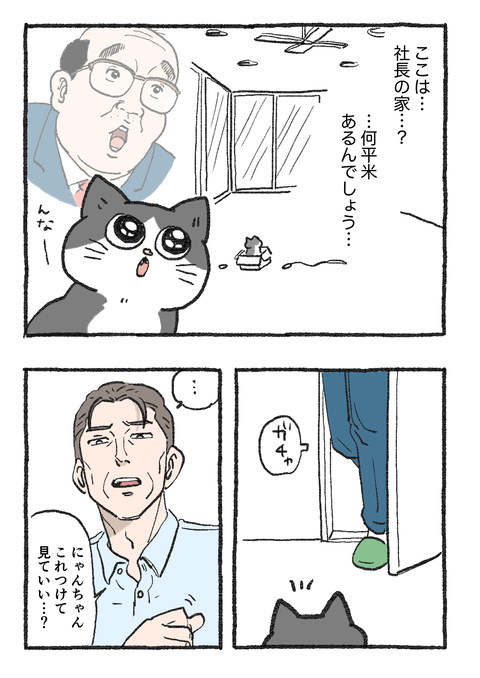 Nekooji_syoseki_blog_020