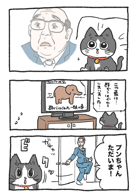 Nekooji_syoseki_blog_038