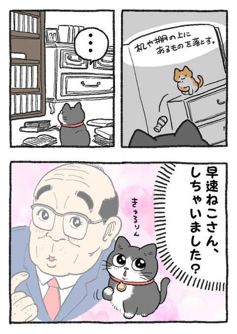 nekooji_184_2