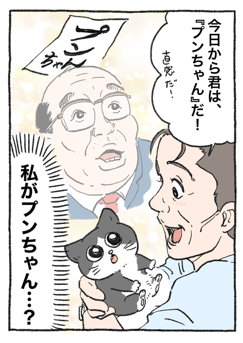 Nekooji_syoseki_blog_023