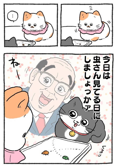 GKPBE3QbAAE76fy