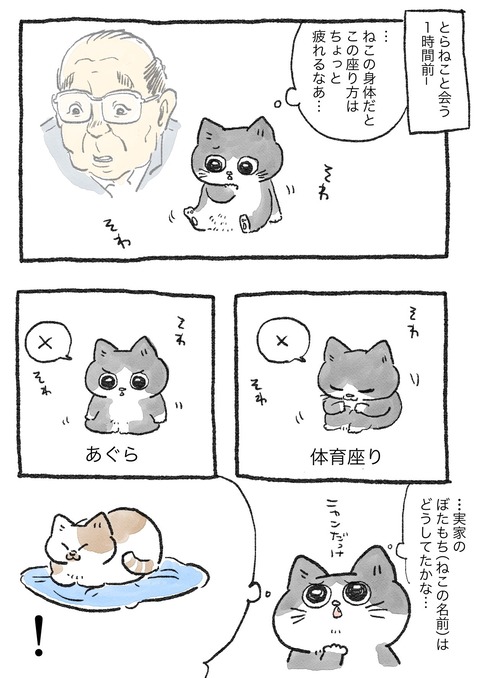 nekooji_7_1