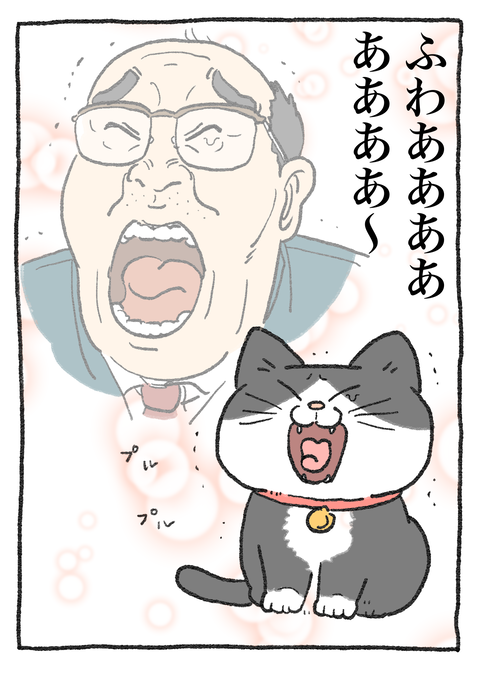 Nekooji_syoseki_blog_035