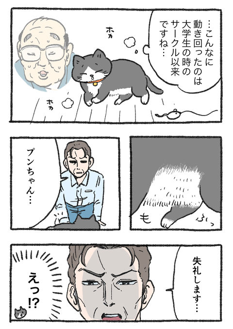 Nekooji_syoseki_blog_028