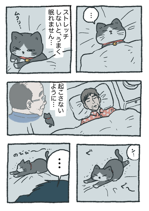 Nekooji_syoseki_blog_050