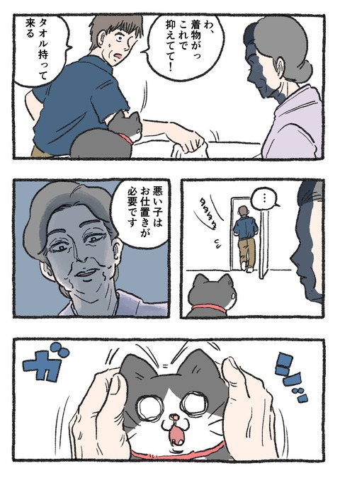 nekooji_193_1