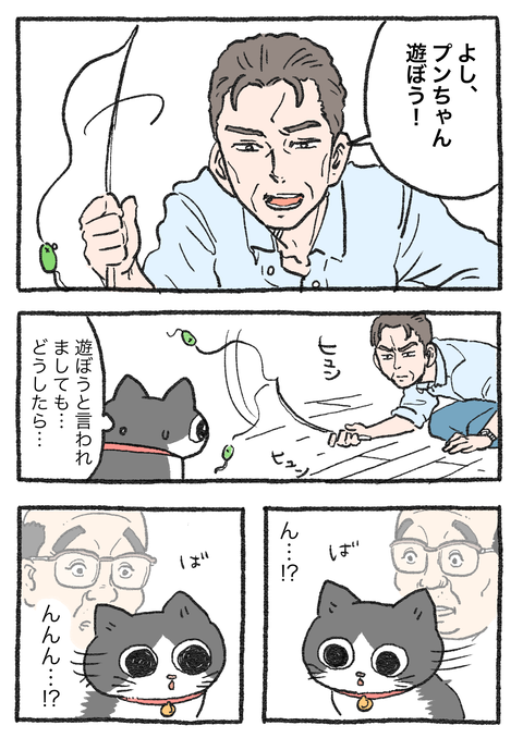 Nekooji_syoseki_blog_026