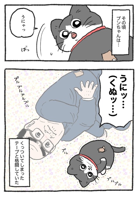 GGTUjxOaIAArZYt