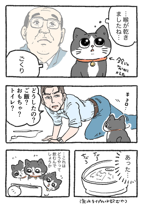 Nekooji_syoseki_blog_024