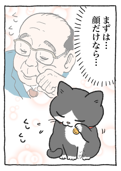 Nekooji_syoseki_blog_045