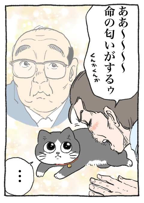 Nekooji_syoseki_blog_029