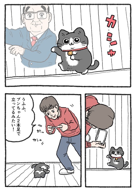 GMalBq2acAAu8rQ